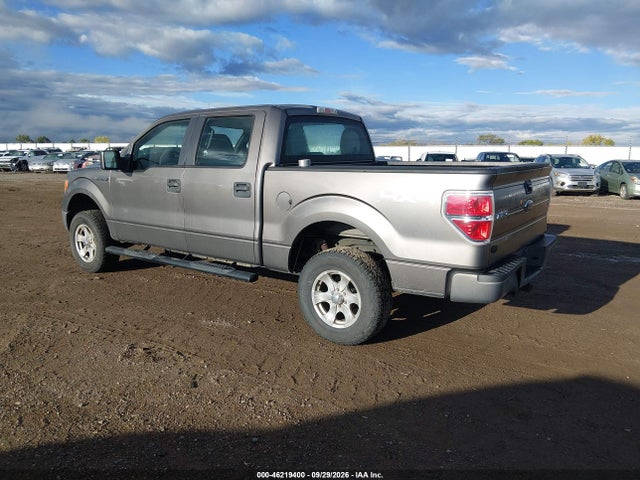 Продаж на аукціоні авто 2010 Ford F-150 Xl/xlt, vin: 1FTEW1E80AFA92038, номер лоту: 46219400
