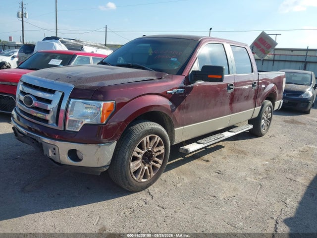 Продажа на аукционе авто 2009 Ford F-150 Xl/xlt, vin: 1FTRW128X9FA51613, номер лота: 46220198