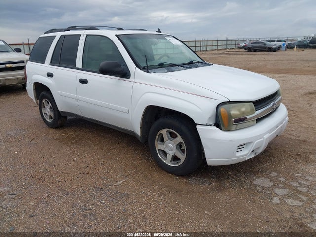 Auction sale of the 2006 Chevrolet Trailblazer Ls, vin: 1GNDT13SX62236753, lot number: 46220206