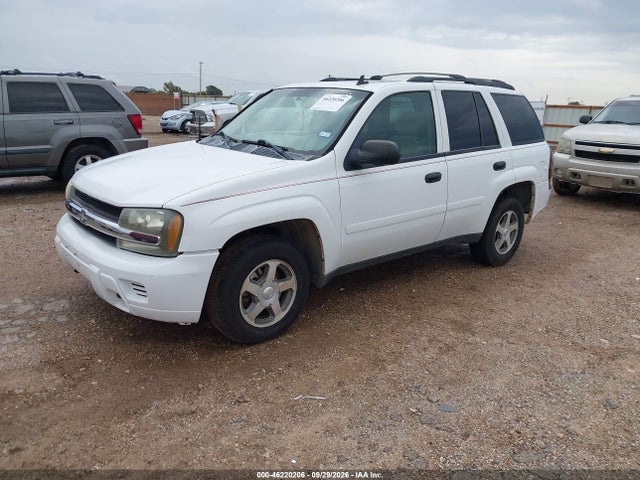 2006 Chevrolet Trailblazer Ls მანქანა იყიდება აუქციონზე, vin: 1GNDT13SX62236753, აუქციონის ნომერი: 46220206