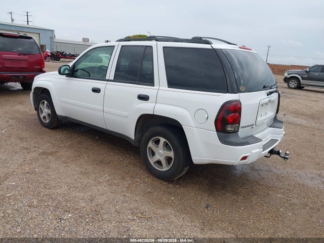 2006 Chevrolet Trailblazer Ls მანქანა იყიდება აუქციონზე, vin: 1GNDT13SX62236753, აუქციონის ნომერი: 46220206