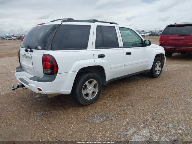 2006 Chevrolet Trailblazer Ls მანქანა იყიდება აუქციონზე, vin: 1GNDT13SX62236753, აუქციონის ნომერი: 46220206