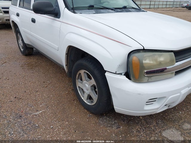 2006 Chevrolet Trailblazer Ls მანქანა იყიდება აუქციონზე, vin: 1GNDT13SX62236753, აუქციონის ნომერი: 46220206