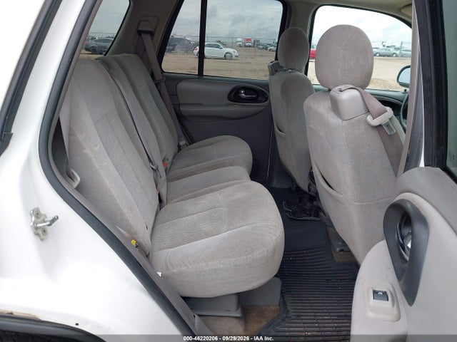 2006 Chevrolet Trailblazer Ls მანქანა იყიდება აუქციონზე, vin: 1GNDT13SX62236753, აუქციონის ნომერი: 46220206