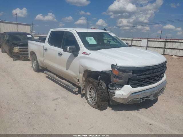 Auction sale of the 2025 Chevrolet Silverado 1500 4wd  Standard Bed Wt, vin: 3GCUKAED6SG366282, lot number: 46220546