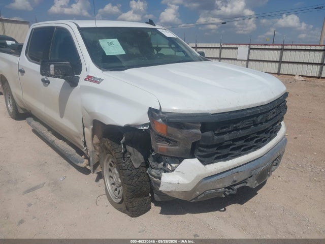Auction sale of the 2025 Chevrolet Silverado 1500 4wd  Standard Bed Wt, vin: 3GCUKAED6SG366282, lot number: 46220546
