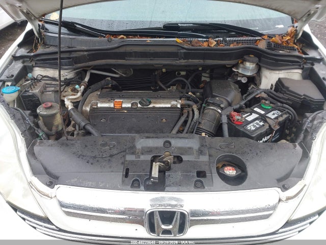 46220648 :رقم المزاد ، 5J6RE38519L020094 vin ، 2009 Honda Cr-v Ex مزاد بيع