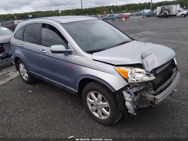 Auction sale of the 2007 Honda Cr-v Ex-l, vin: JHLRE48757C022489, lot number: 46220760