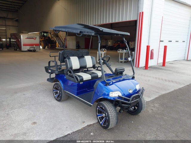 Продажа на аукционе авто 2022 Evolution Golf Cart, vin: 202201519, номер лота: 46220875