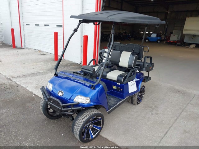 Продажа на аукционе авто 2022 Evolution Golf Cart, vin: 202201519, номер лота: 46220875