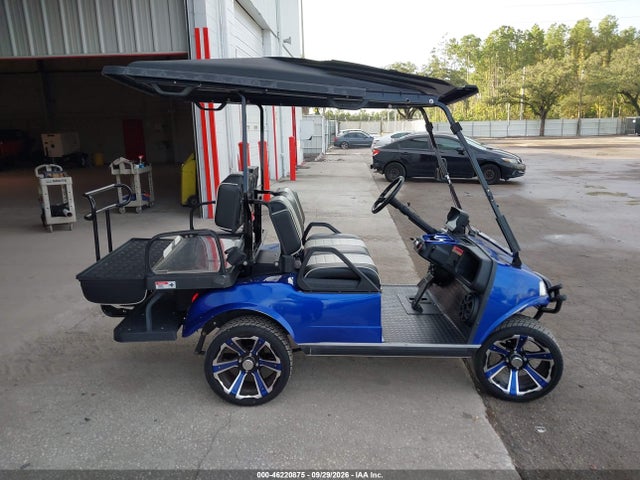 Продажа на аукционе авто 2022 Evolution Golf Cart, vin: 202201519, номер лота: 46220875
