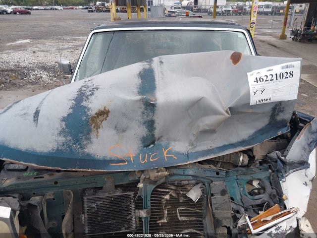 46221028 :رقم المزاد ، 1FTHX26H9TEA99299 vin ، 1996 Ford F250 مزاد بيع