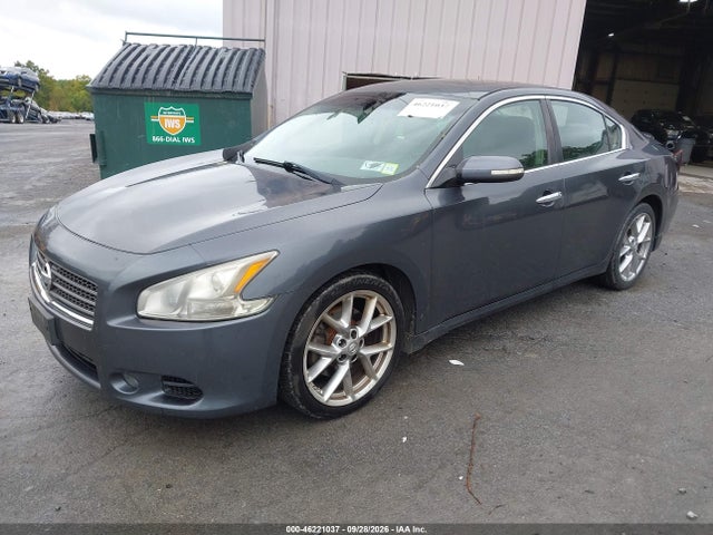 46221037 :رقم المزاد ، 1N4AA5AP2AC868386 vin ، 2010 Nissan Maxima 3.5 Sv مزاد بيع