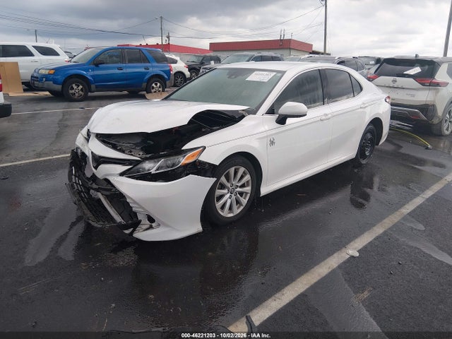 4T1C11AK7LU903951 Toyota CAMRY LE