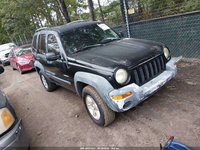 2004 Jeep Liberty Sport მანქანა იყიდება აუქციონზე, vin: 1J4GK48K44W248500, აუქციონის ნომერი: 46221532