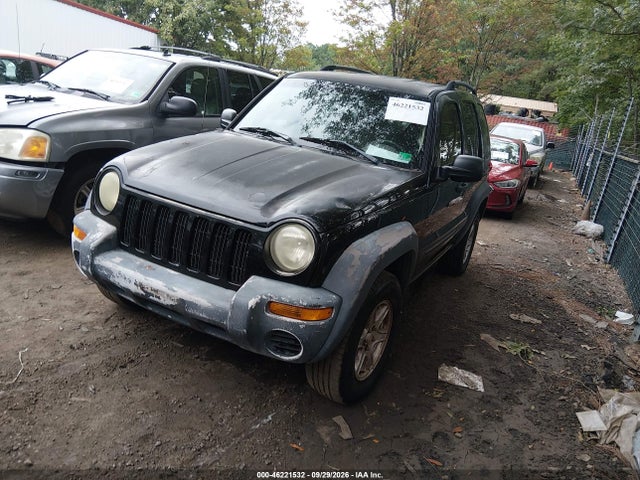 2004 Jeep Liberty Sport მანქანა იყიდება აუქციონზე, vin: 1J4GK48K44W248500, აუქციონის ნომერი: 46221532