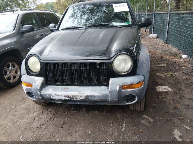 2004 Jeep Liberty Sport მანქანა იყიდება აუქციონზე, vin: 1J4GK48K44W248500, აუქციონის ნომერი: 46221532