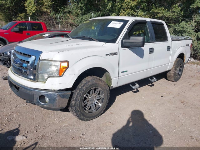 Продажа на аукционе авто 2011 Ford F-150 Xlt, vin: 1FTFW1ET2BFB62777, номер лота: 46222551