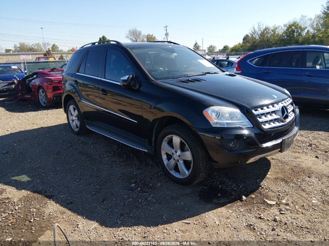 46223153 :رقم المزاد ، 4JGBB8GB2AA561509 vin ، 2010 Mercedes-benz M-class Ml 350 مزاد بيع