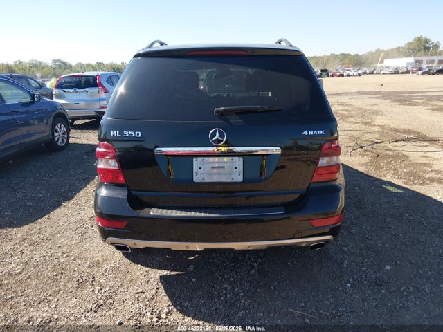 46223153 :رقم المزاد ، 4JGBB8GB2AA561509 vin ، 2010 Mercedes-benz M-class Ml 350 مزاد بيع