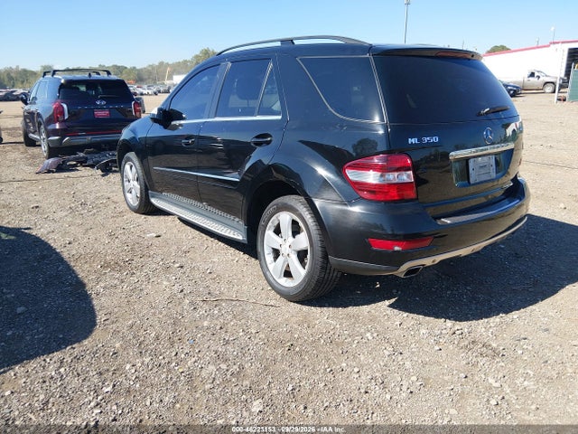 46223153 :رقم المزاد ، 4JGBB8GB2AA561509 vin ، 2010 Mercedes-benz M-class Ml 350 مزاد بيع