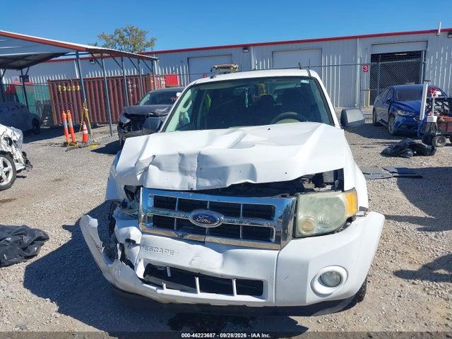 46223687 :رقم المزاد ، 1FMCU93709KB55997 vin ، 2009 Ford Escape Xlt مزاد بيع