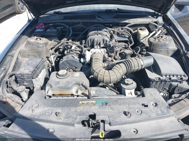 Продажа на аукционе авто 2005 Ford Mustang, vin: 1ZVFT84N955234831, номер лота: 46223849
