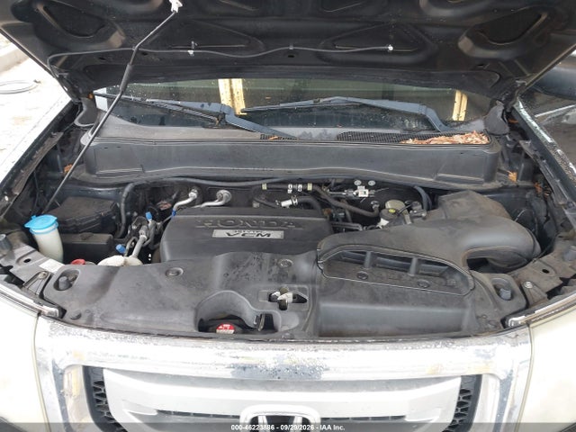 46223886 :رقم المزاد ، 5FNYF48589B024943 vin ، 2009 Honda Pilot Ex-l مزاد بيع