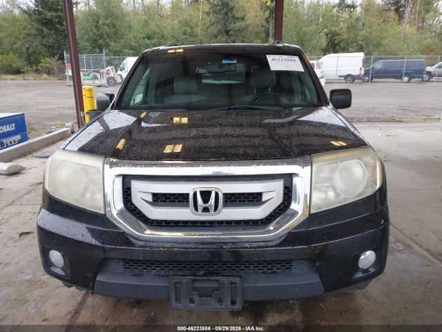 46223886 :رقم المزاد ، 5FNYF48589B024943 vin ، 2009 Honda Pilot Ex-l مزاد بيع