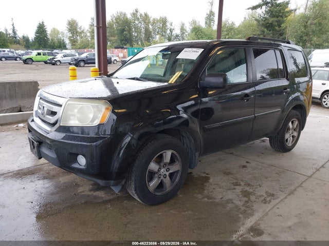 46223886 :رقم المزاد ، 5FNYF48589B024943 vin ، 2009 Honda Pilot Ex-l مزاد بيع