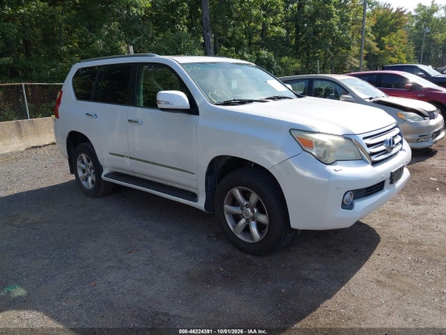 Auction sale of the 2010 Lexus Gx 460 Premium, vin: JTJJM7FX5A5013821, lot number: 46224391