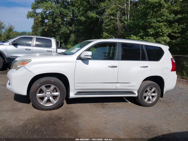 Продаж на аукціоні авто 2010 Lexus Gx 460 Premium, vin: JTJJM7FX5A5013821, номер лоту: 46224391