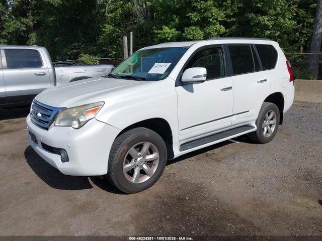 Продаж на аукціоні авто 2010 Lexus Gx 460 Premium, vin: JTJJM7FX5A5013821, номер лоту: 46224391