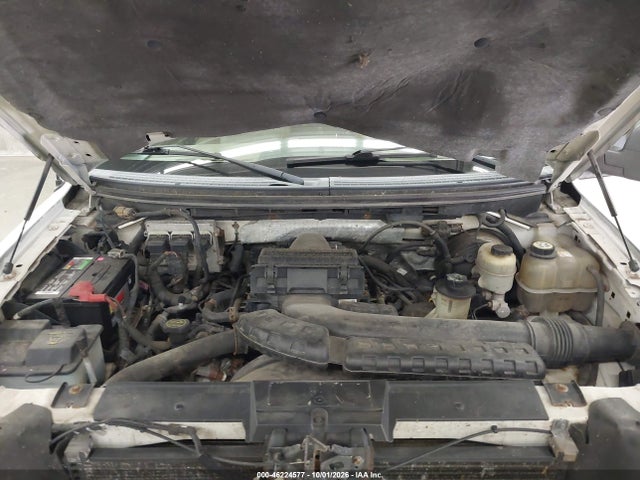 46224577 :رقم المزاد ، 1FTPX14V67FB61370 vin ، 2007 Ford F-150 Fx4/lariat/xl/xlt مزاد بيع
