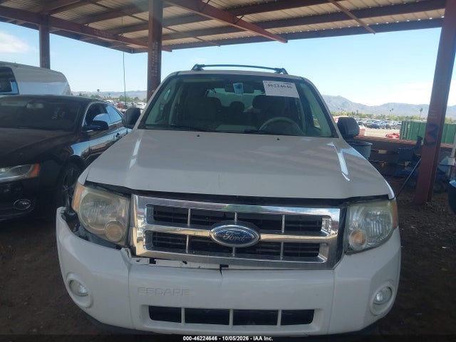 46224646 :رقم المزاد ، 1FMCU03749KD01703 vin ، 2009 Ford Escape Xlt مزاد بيع