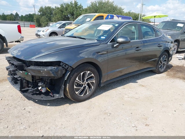 2026 Hyundai Sonata Hybrid Blue მანქანა იყიდება აუქციონზე, vin: KMHL24JJ1TA148786, აუქციონის ნომერი: 46224904