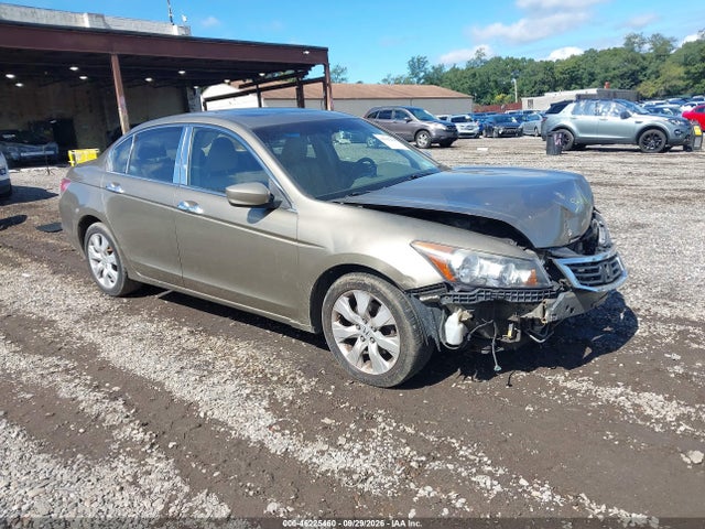 Auction sale of the 2008 Honda Accord 3.5 Ex-l, vin: 1HGCP36828A075880, lot number: 46225460