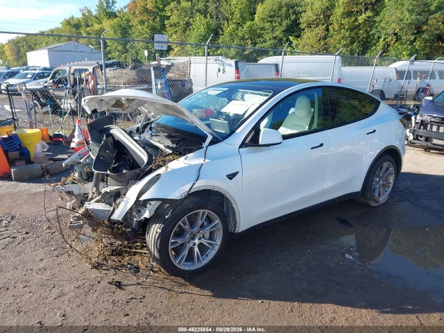 46225854 :رقم المزاد ، 7SAYGDEE6PA207143 vin ، 2023 Tesla Model Y مزاد بيع