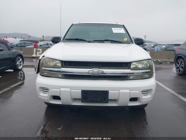 Aukcja sprzedaży 2002 Chevrolet Trailblazer Ls, vin: 1GNDS13S922513454, numer aukcji: 46226047