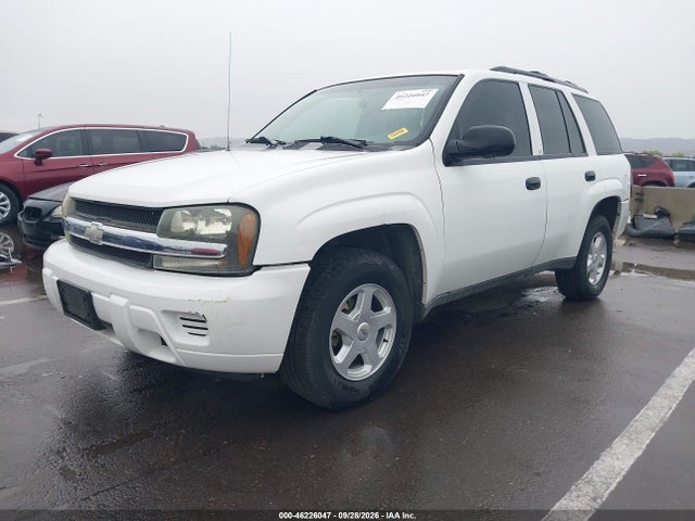 Aukcja sprzedaży 2002 Chevrolet Trailblazer Ls, vin: 1GNDS13S922513454, numer aukcji: 46226047