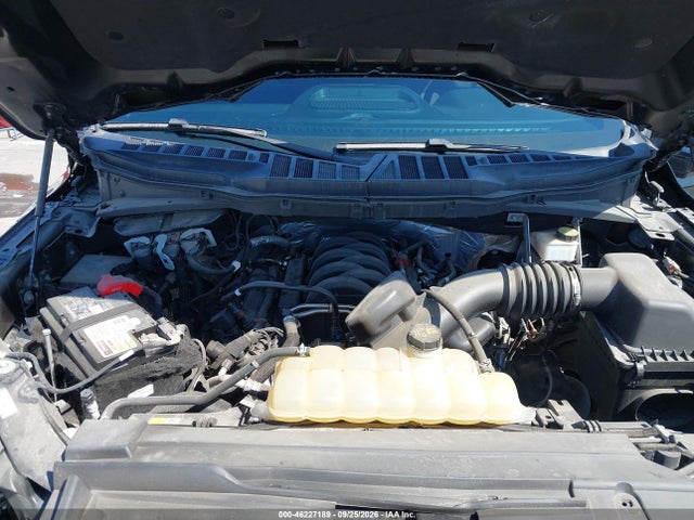 46227189 :رقم المزاد ، 1FTEW1C51MFB25996 vin ، 2021 Ford F-150 Xlt مزاد بيع