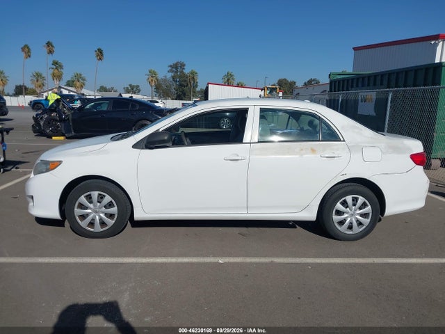 46230169 :رقم المزاد ، 2T1BU4EE1AC385097 vin ، 2010 Toyota Corolla Le مزاد بيع