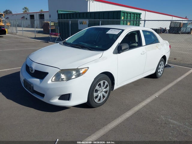 46230169 :رقم المزاد ، 2T1BU4EE1AC385097 vin ، 2010 Toyota Corolla Le مزاد بيع