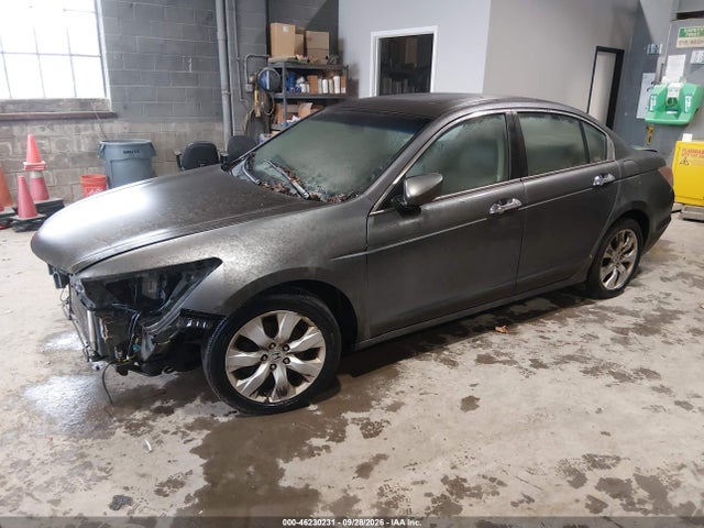 2008 Honda Accord 3.5 Ex-l მანქანა იყიდება აუქციონზე, vin: 1HGCP36888A062471, აუქციონის ნომერი: 46230231