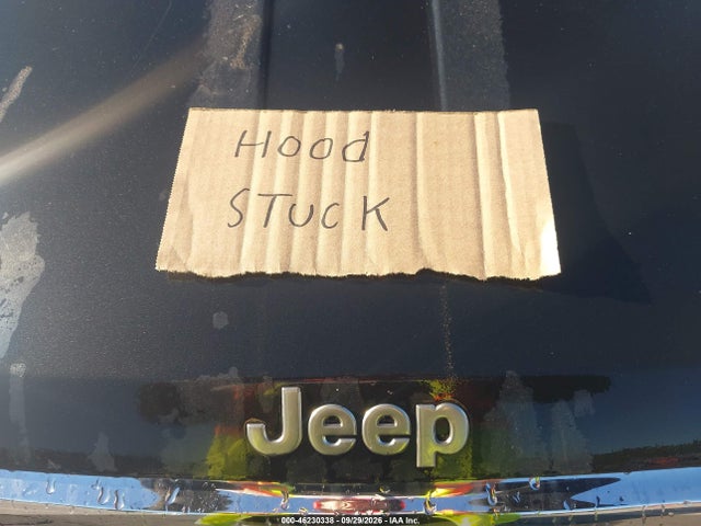 2004 Jeep Grand Cherokee Limited მანქანა იყიდება აუქციონზე, vin: 1J4GX58N04C315418, აუქციონის ნომერი: 46230338
