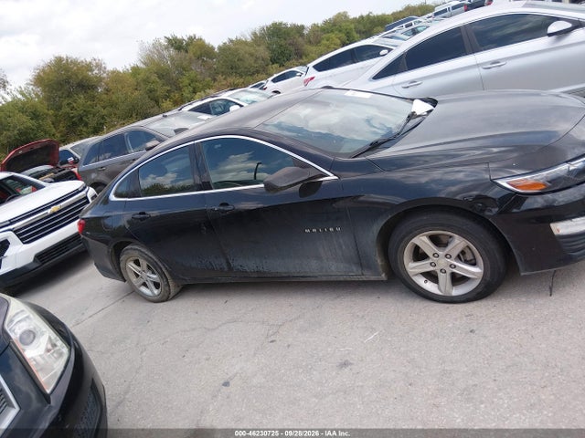 2019 Chevrolet Malibu 1fl მანქანა იყიდება აუქციონზე, vin: 1G1ZC5ST8KF183420, აუქციონის ნომერი: 46230725