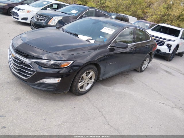 2019 Chevrolet Malibu 1fl მანქანა იყიდება აუქციონზე, vin: 1G1ZC5ST8KF183420, აუქციონის ნომერი: 46230725