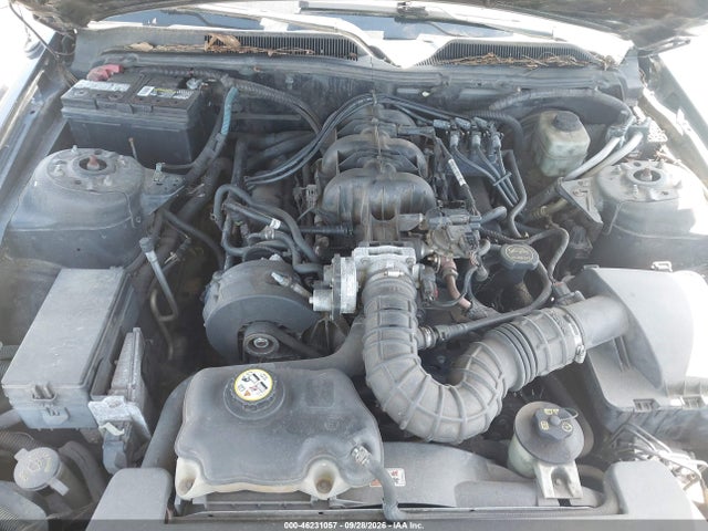 2005 Ford Mustang V6 Deluxe/v6 Premium მანქანა იყიდება აუქციონზე, vin: 1ZVHT80N955150880, აუქციონის ნომერი: 46231057