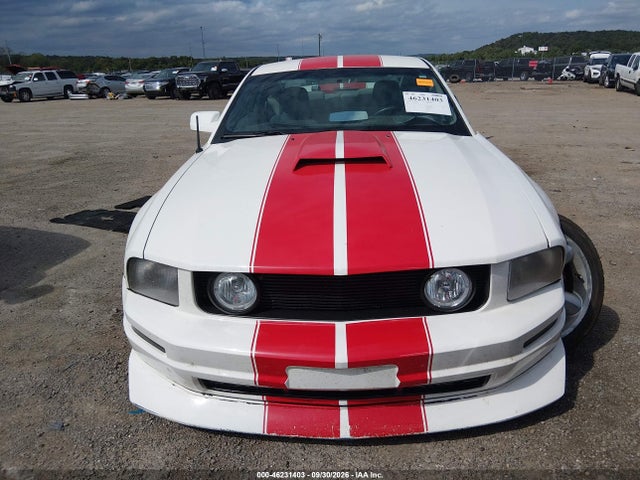 2007 Ford Mustang V6 Deluxe/v6 Premium მანქანა იყიდება აუქციონზე, vin: 1ZVFT80N275294619, აუქციონის ნომერი: 46231403