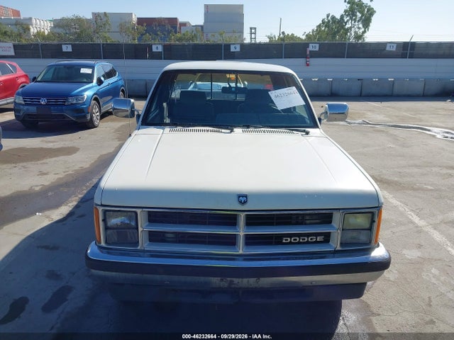 1990 Dodge Dakota მანქანა იყიდება აუქციონზე, vin: 1B7GL23X5LS613248, აუქციონის ნომერი: 46232664